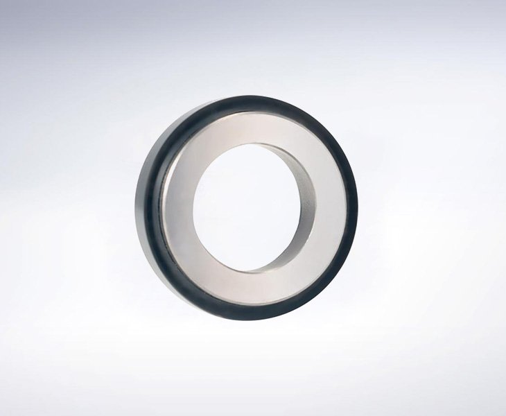 Tailor-Made Alloy Mechanical Seal