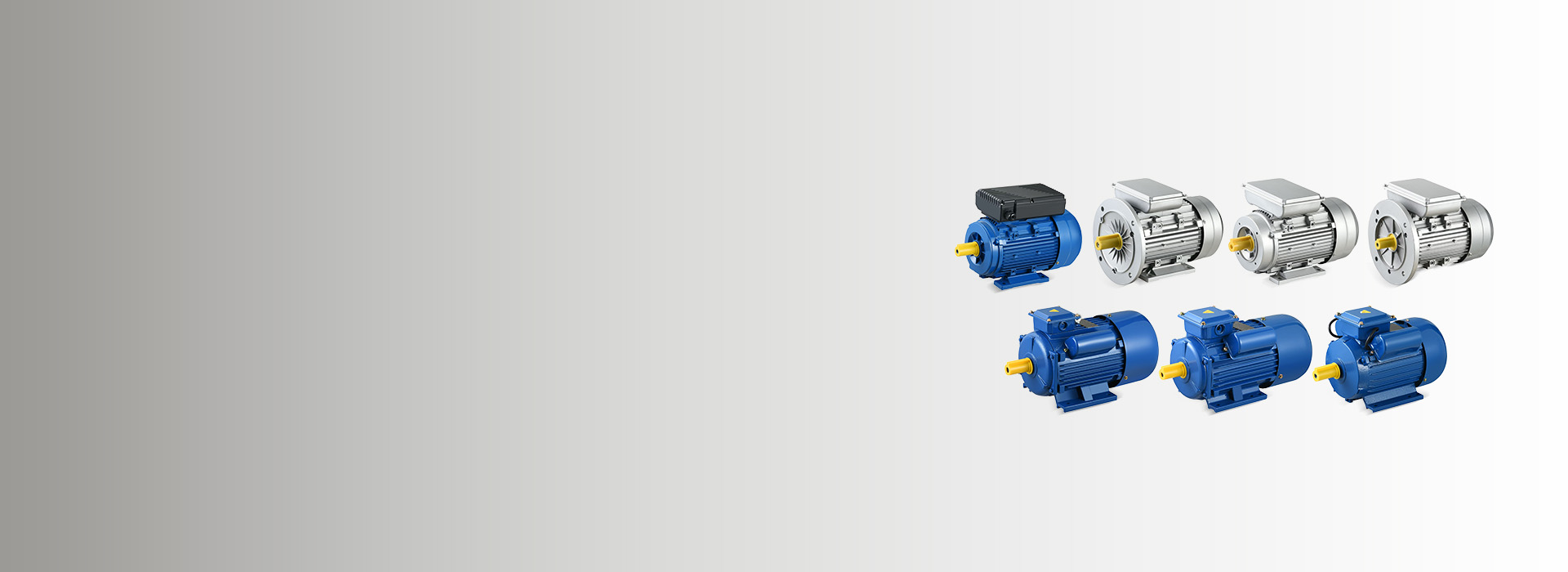 single-phase asynchronous motor